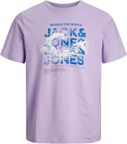 Jack&Jones tee-shirt "Jcobooster"