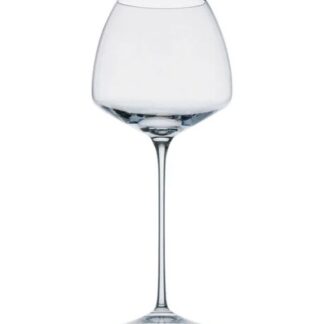 Rosenthal verre à vin de bourgogne "Tac Clear"